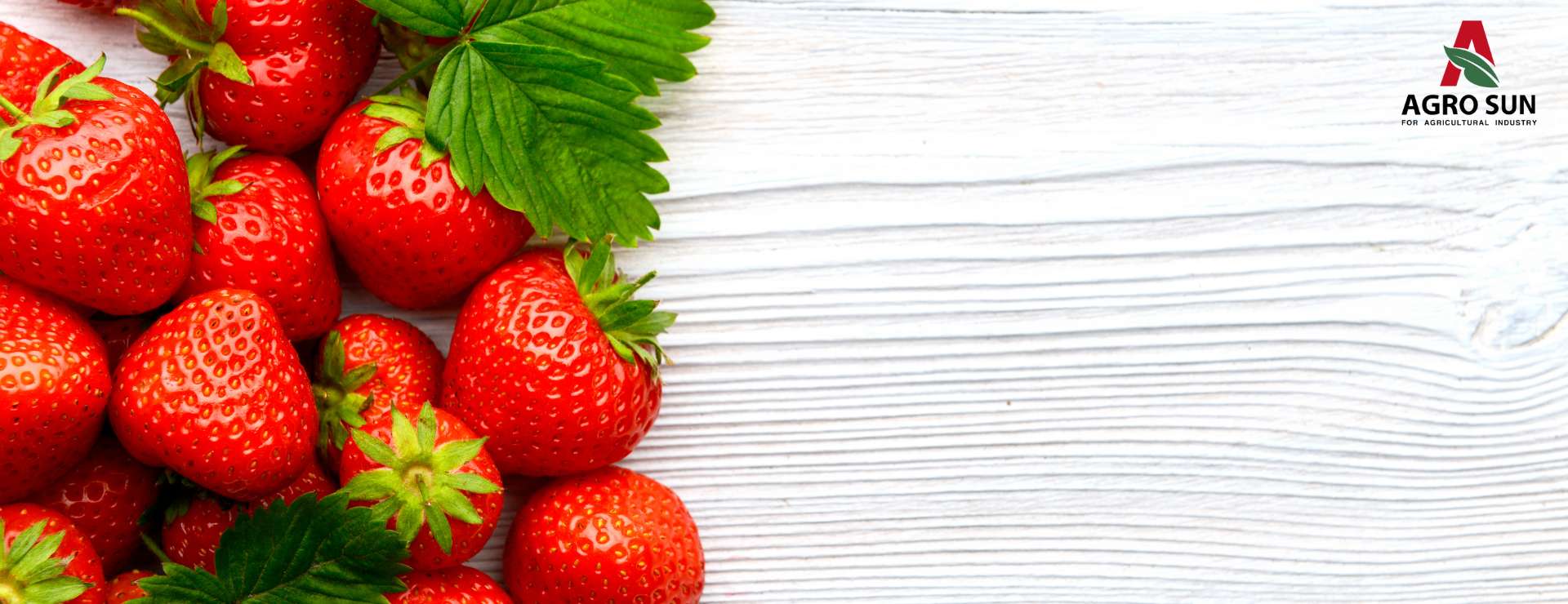 Frozen strawberries Frozen strawberries