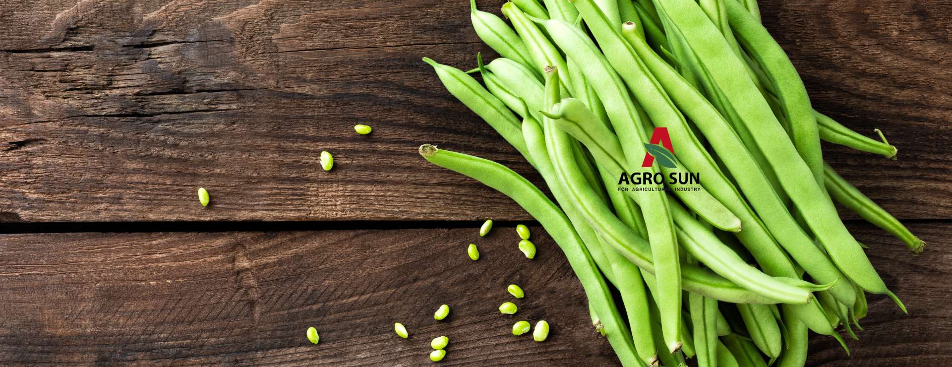 Agro Sun – Grean Beans Agro Sun - Grean Beans