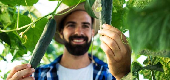 organic4 organic4
