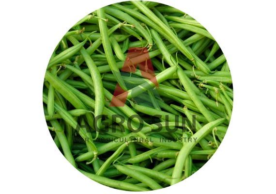 Grean Beans