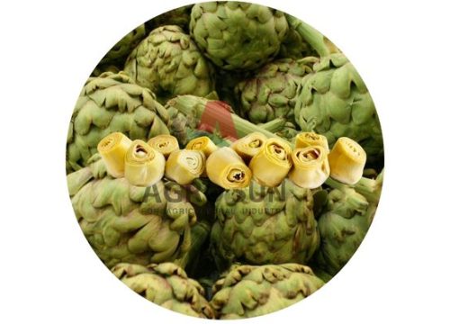 Frozen Artichokes