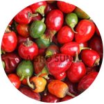 cherry peppers